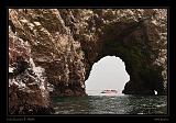 Ballestas Islands 008